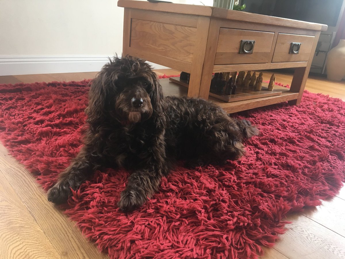 Consume Digital tweet media