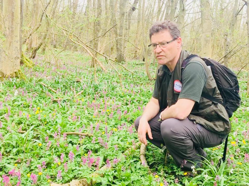 WaldResort Hainich (@WaldResort) / Posts / X