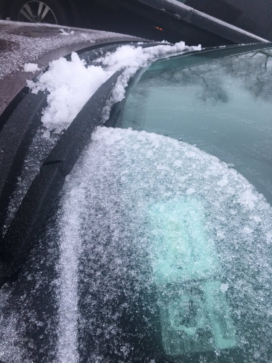 CaptainBuffalo's tweet photo. A loved one shouldn’t have to say, “Drive safe!”, in mid-April! #SpringWhereArtThou https://t.co/JMg2dsVycg