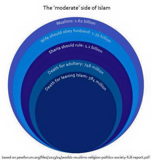 Dunkeldenk's tweet photo. Laut dieser Statistik von PEW lehnen 2/3 aller Moslems weltweit andere Gesetze als die der #Scharia ab. 

Unter dem Hashtag #NichtOhneMeinKopftuch bestätigen Moslems, dass Deutschland hierbei keine Ausnahme darstellt https://t.co/DDrwPfYLWV