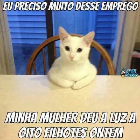 donaide #timBETA (@donaidechavessa) on Twitter photo 