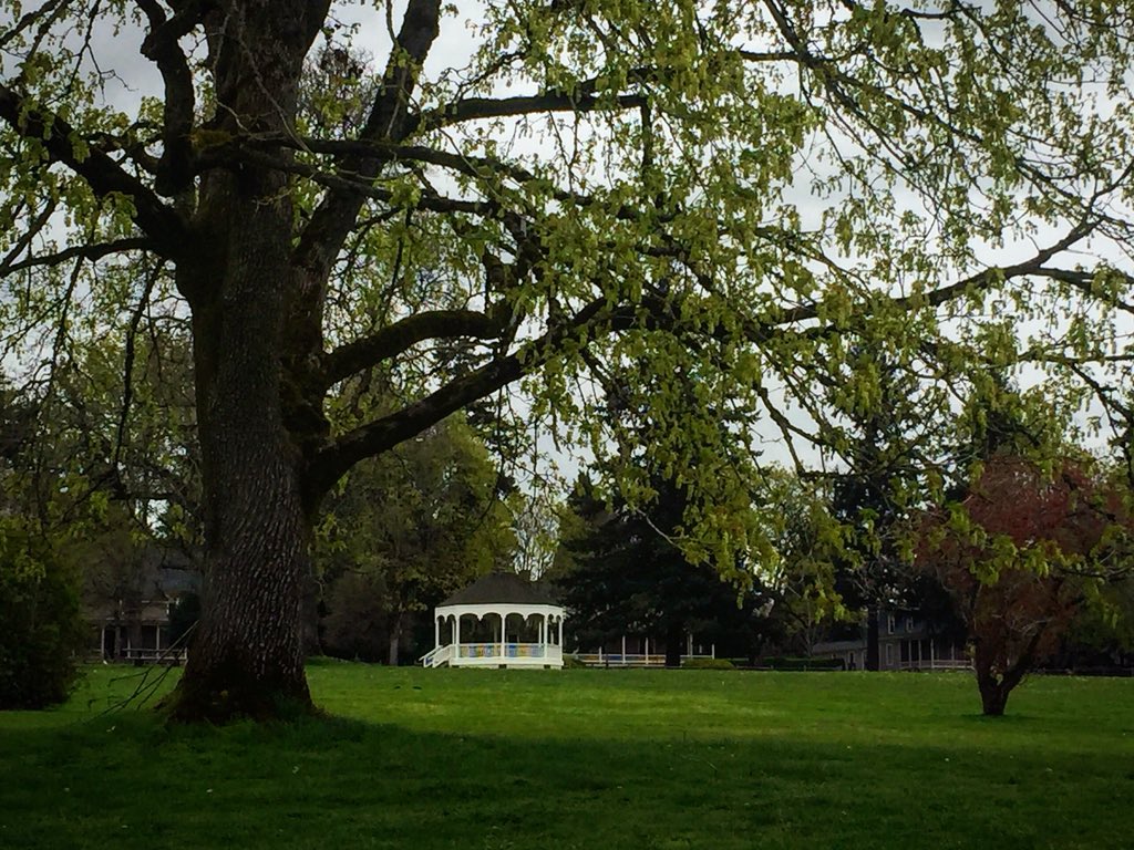 ROpatich's tweet photo. FoTo oF tHe DaY taKen bY mE: A Walk In The Park 6/7 (Ft. Vancouver National Historic Site, Vancouver, Washington)
#walkinthepark
#evergreens
#FtVancouverNationalHistoricSite 
#OfficersRow
#VancouverWashington
#Vancouver
#Washington
#SpringTime 
#photography 
#photographs
#photos https://t.co/hyQR7skcc6