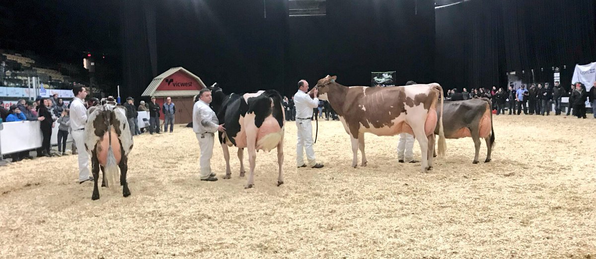 I’m back in the NSAB office and on the road this week after a successful and productive training week in Saint-Hyacinthe at CIAQ. Thanks everyone who helped out with the training. I was also lucky enough to attend some of the QC Spring Show.