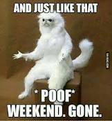 LucyOKScentClub's tweet photo. Monday already?! https://t.co/zHHGAiw6rq