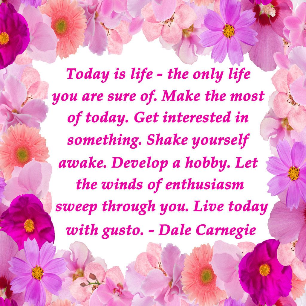 Lucie008's tweet photo. #MondayMotivation: Today is life - the only life you are sure of. Make the most of today :-) #Motivation #PosititiveThoughts @RespectYourself https://t.co/hvpnTB8TZL