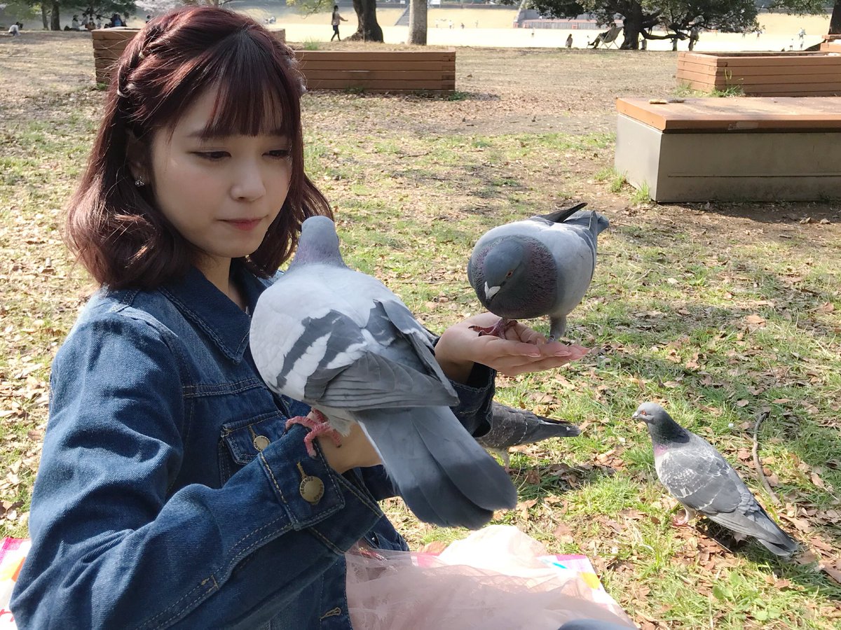 江﨑 葵 虹色の飛行少女 ディズニーにおる鳩も鬼寄ってくる