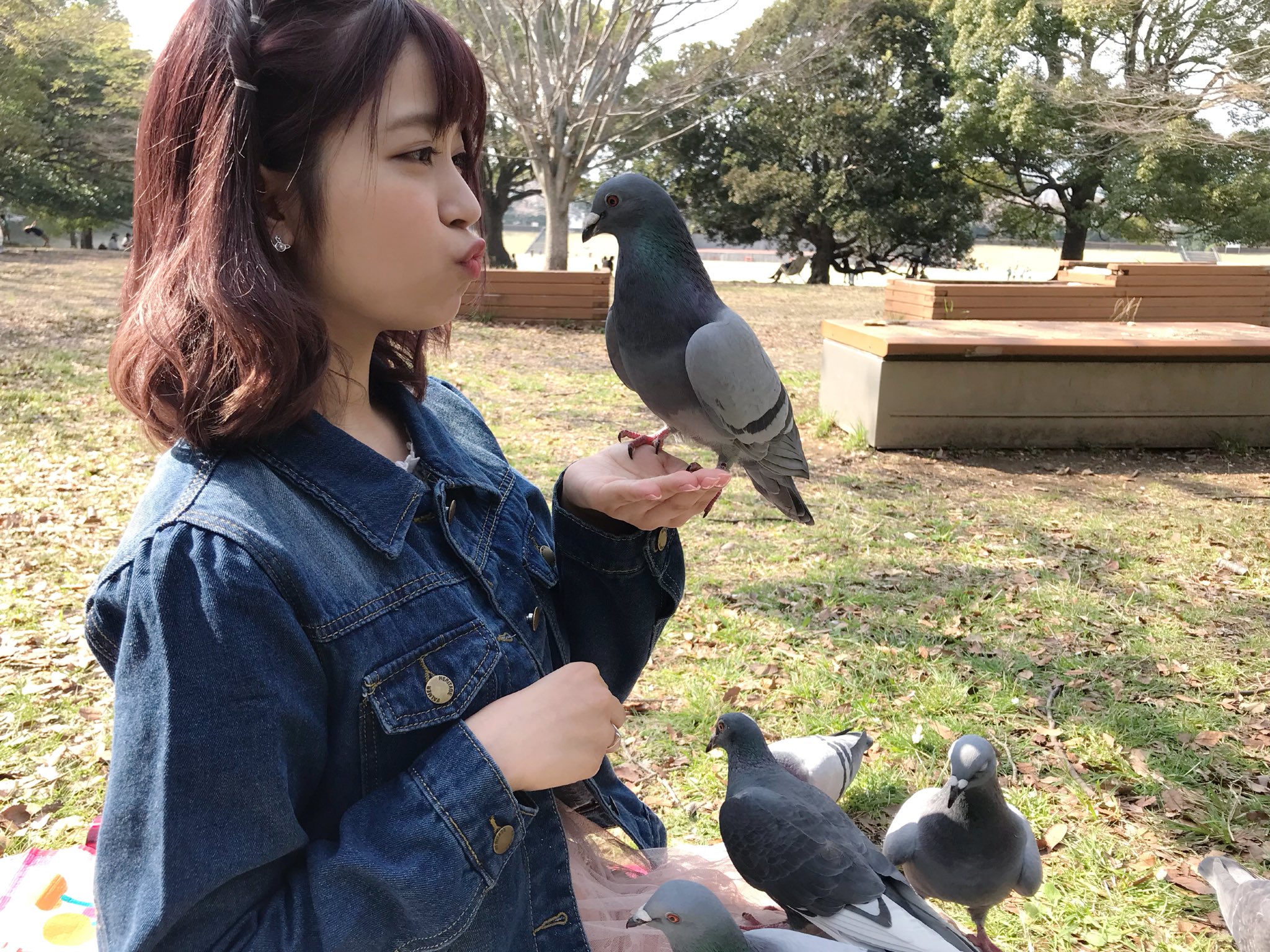 江﨑 葵 M Reettn ディズニーにおる鳩も鬼寄ってくる Twitter