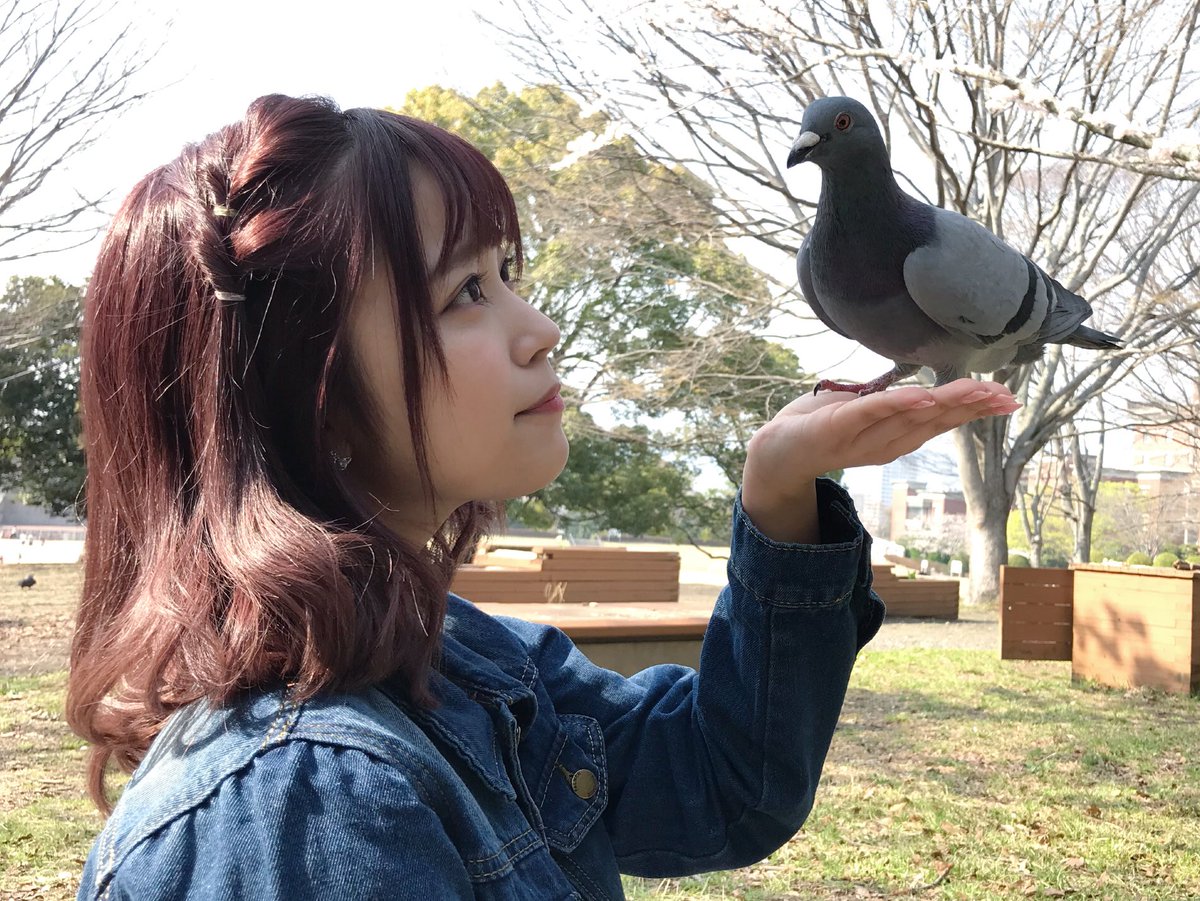 江﨑 葵 虹色の飛行少女 ディズニーにおる鳩も鬼寄ってくる