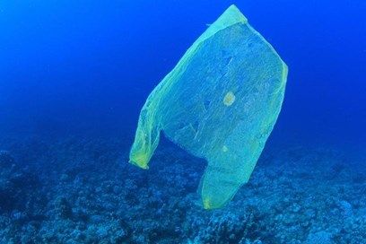 MiddletonEng's tweet photo. Some really positive news for our Oceans and Seas! 🐟
https://t.co/8CLdQBNcQJ https://t.co/C4AOoIonRU