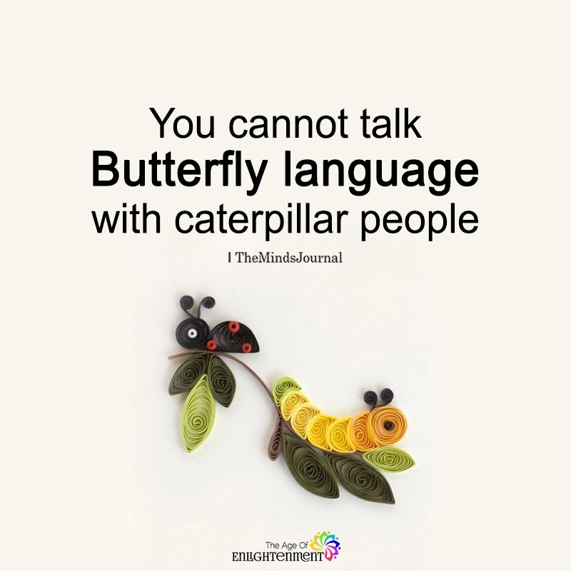 The Minds Journal V Twitter You Cannot Talk Butterfly Language T Co Ihniearx3r Butterflylanguage Caterpillarpeople Happylifegoals Lovingyourself T Co Amfinsah6d