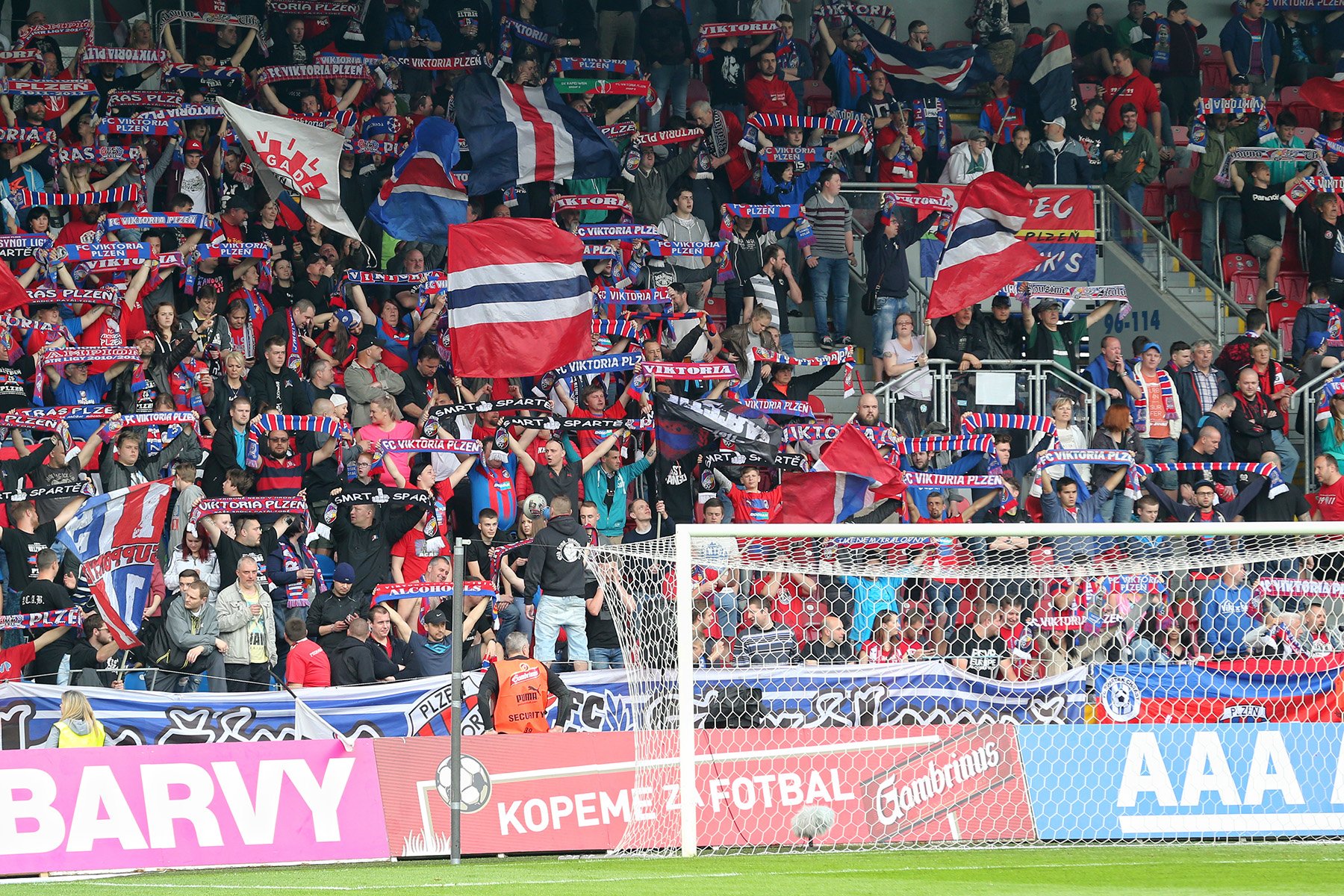 viktoria plzen fans