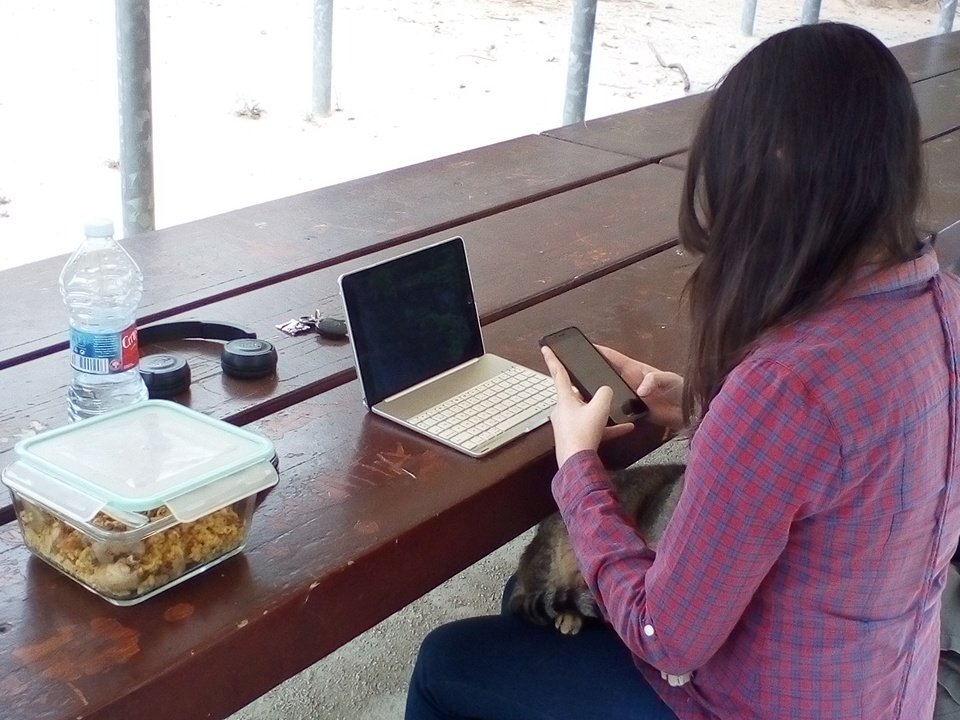 Ruben_Blay's tweet photo. De comida de empresa con @NoSoyMelissa
Hoy, el emprendedurismo lo traemos al campus de Burjassot!
Estamos perfilando el blog y detallando nuestro plan de comunicación tras el #TeamClinic con @opex_uv
@SocialinnolabUV #SocInnoLabGameUV https://t.co/TJlObqs3zw