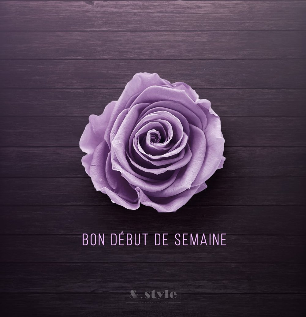 AndStyleCom's tweet photo. &amp;.Style | communication vous souhaite un bon début de semaine
#AndStyle #goodmorning #goodmood #bepositive #workhard #playhard #withlove https://t.co/6AcnoSgx3q