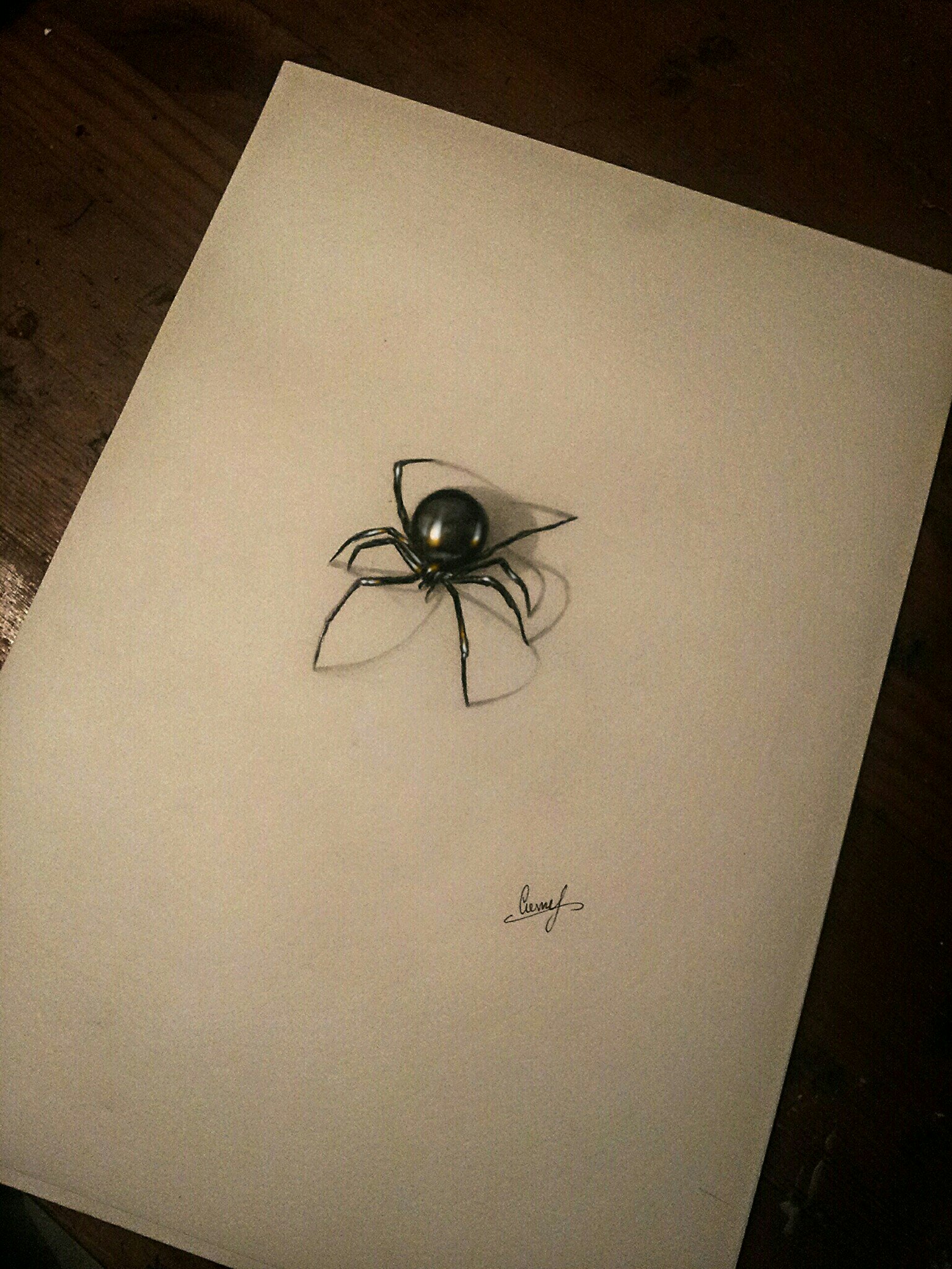 Spider 3d pencil drawing  Theju Arts  Drawings  Illustration Animals  Birds  Fish Bugs  Insects Arachnids Spider  ArtPal