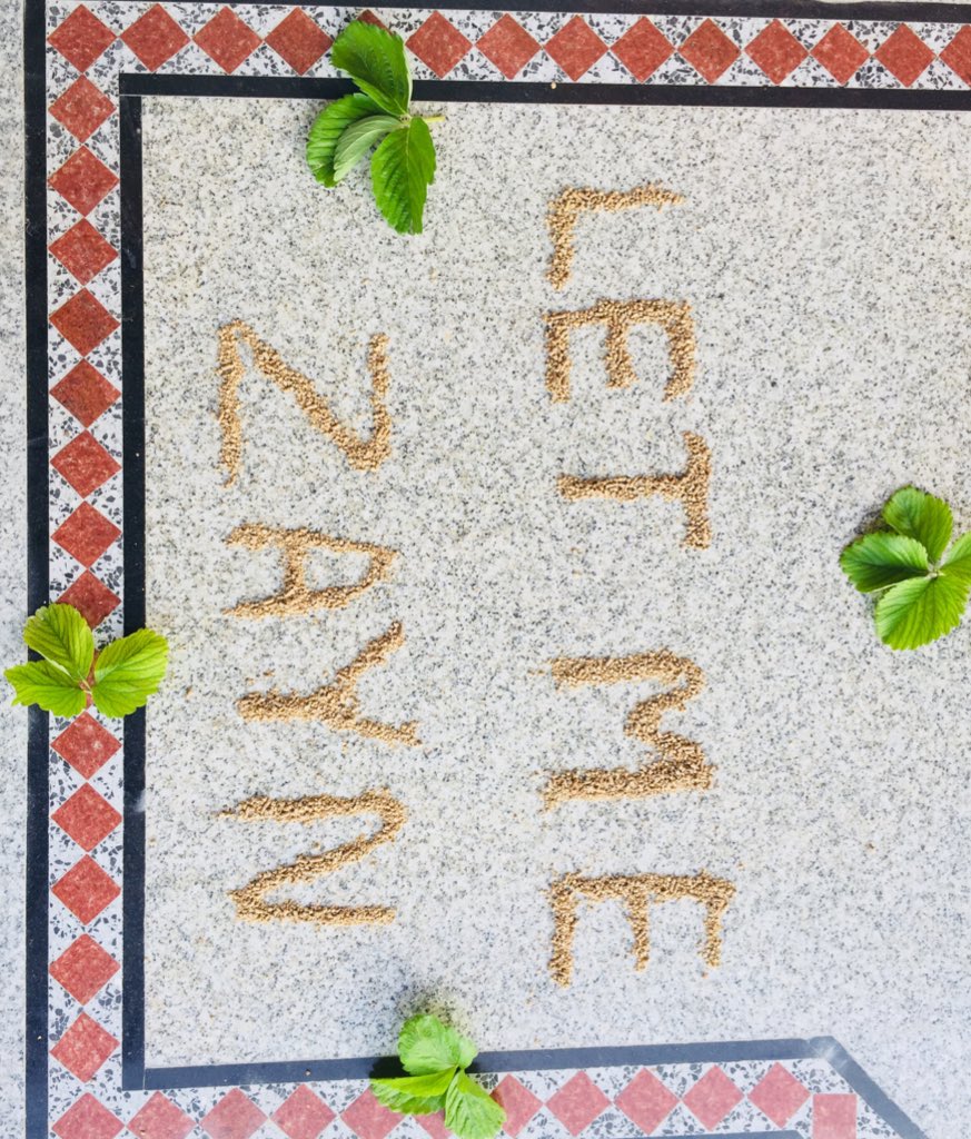 zaynsbaedoctor's tweet photo. I couldnβt take better pictures because its windy π #LetMePromo #letme zayn #LetMe https://t.co/a3yTW9fri2