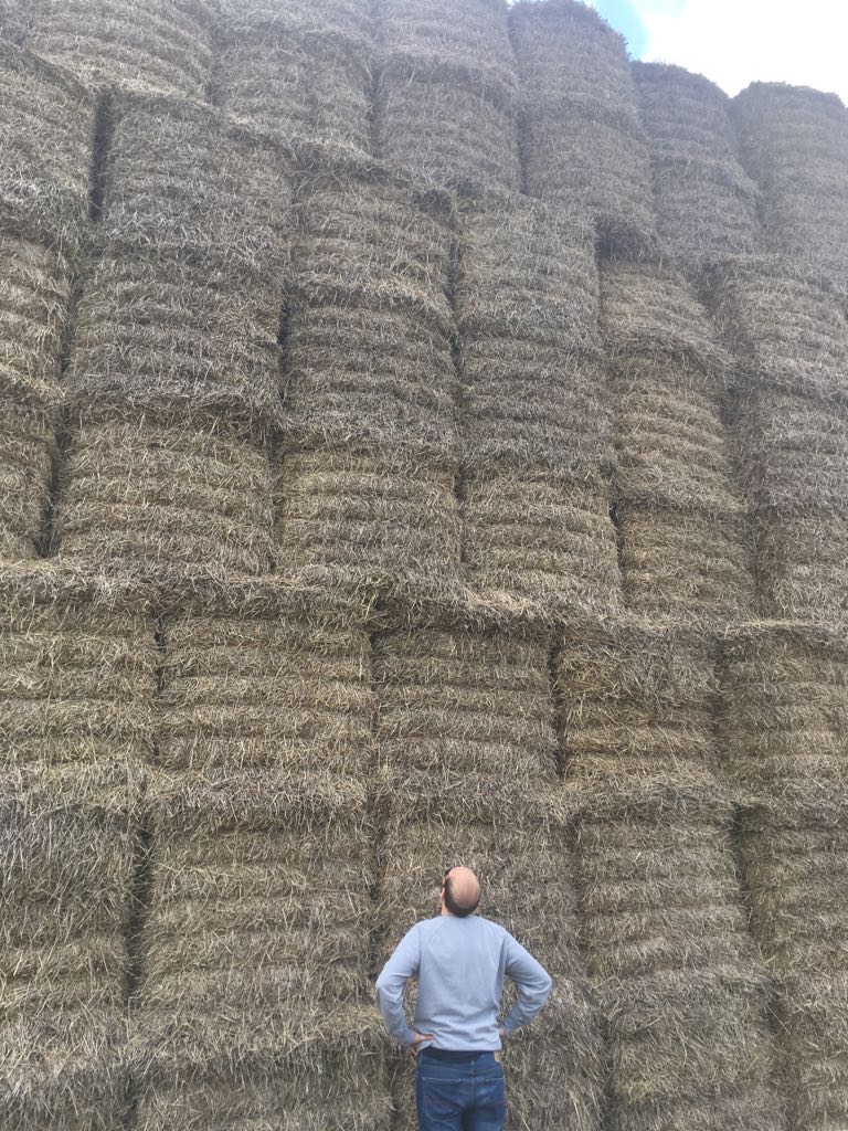 gerry howell tweet media