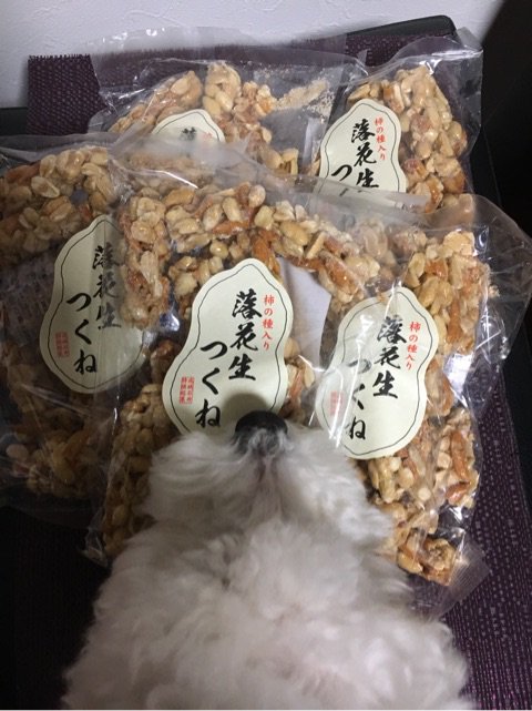 טוויטר 落花生つくね החיפוש של טוויטר