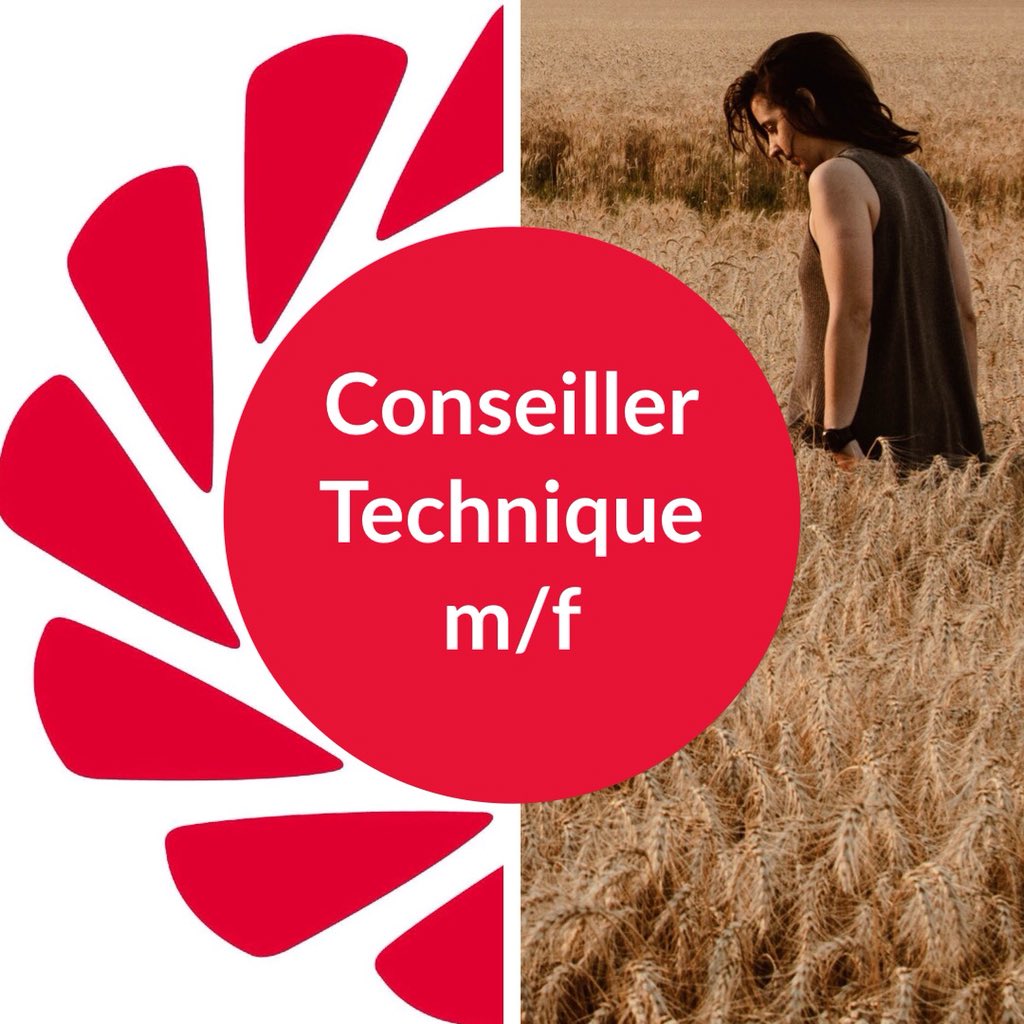 LGSeedsBelgium's tweet photo. Limagrain Belgique est à la recherche d’un conseiller technique pour la Wallonie m/f. En tant que collaborateur au service externe, vous jouez un rôle important dans la promotion des produits et l’accompagnement en matière de maïs et betteraves sucrières. #jobs #offredemploi https://t.co/19l4DAROGu