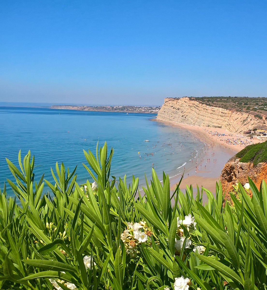CasaFloraDesign's tweet photo. Planning a trip to the beautiful Algarve this summer? Have a look at my blog for some very special places to visit, it's a colour lover's paradise! https://t.co/8RV7eAVjh5 

#portugal #algarve #beaches #design https://t.co/xjkE2qHVoQ