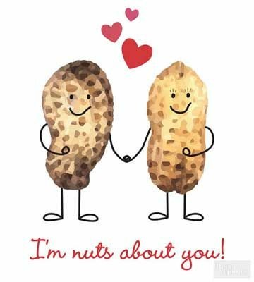 Daniel Kang (@sangnmj) on Twitter photo 