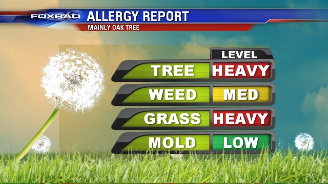 Lisa Vaughn tweet media