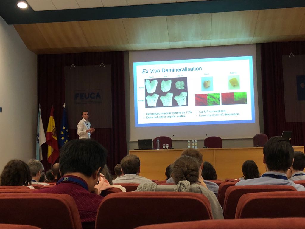 TRAILaboratory's tweet photo. Presenting my work on heterotopic ossification at #interfaces2018 https://t.co/mYbOQJ3LCP