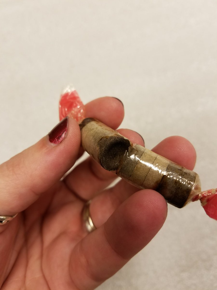 carlosmuseum's tweet photo. That time you were examining art for evidence of ancient pupa casings and find ancient #Smarties instead...#vintage #candy #oopsie #Emory #emoryarts #ancientart #americas https://t.co/fjEOfGkSNc