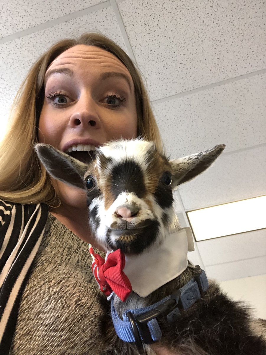 huttonsett's tweet photo. Our admin office was goated by @WishingStarFdtn today!  #sendafriendagoat2018 https://t.co/6aF1kB4XpO