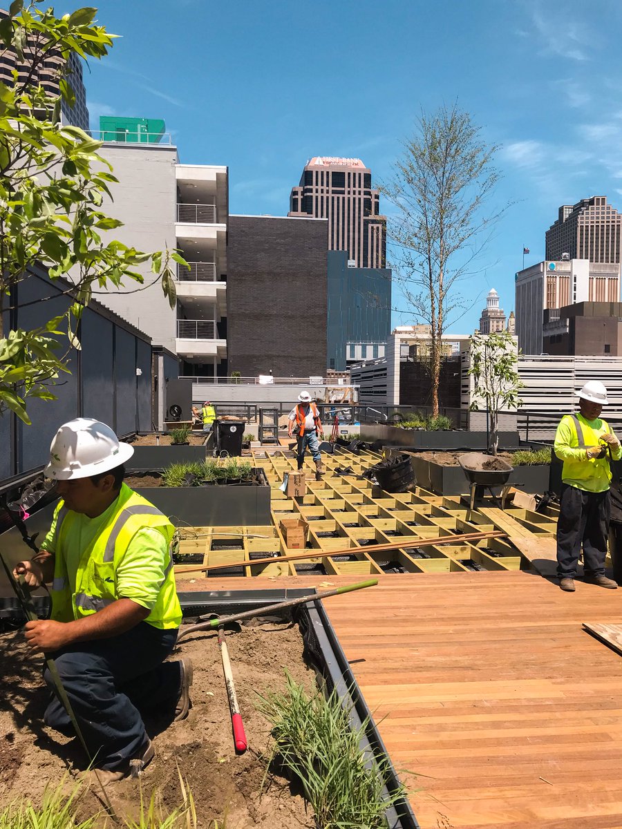 MullinLandscape's tweet photo. Making progress at the @standardneworleans! #mullinlandscape #woodwarddesignbuild #landscaparchitecture #nola https://t.co/ZK0oqGfBid
