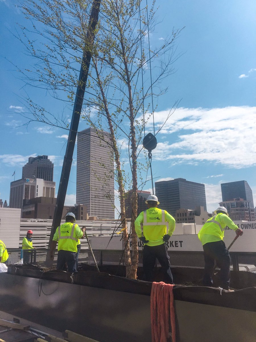MullinLandscape's tweet photo. Making progress at the @standardneworleans! #mullinlandscape #woodwarddesignbuild #landscaparchitecture #nola https://t.co/ZK0oqGfBid