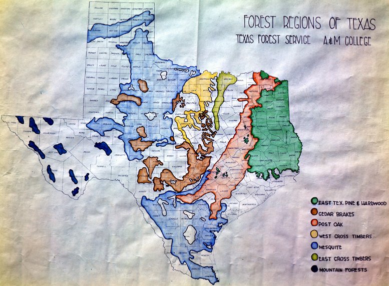 TXForestService's tweet photo. No computer? No problem!  Here is a 1947 hand-drawn map of forest regions in Texas by Texas A&amp;M Forest Service, @forestservice and @usda_nrcs back when @tamu was still a college. https://t.co/CORrKa4f7E #MonthlyMapMonday #Cartography https://t.co/NAY2Y0yynq