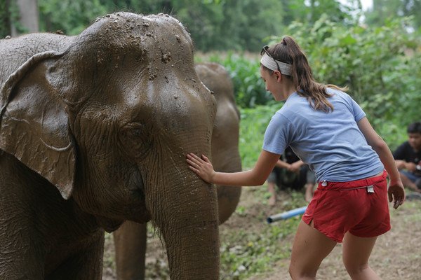 smithsoniansas's tweet photo. #Thailand #letsgosomewhere 21 Day Thailand Expedition Sign up today and begin your adventure! https://t.co/P6O84WoUaD