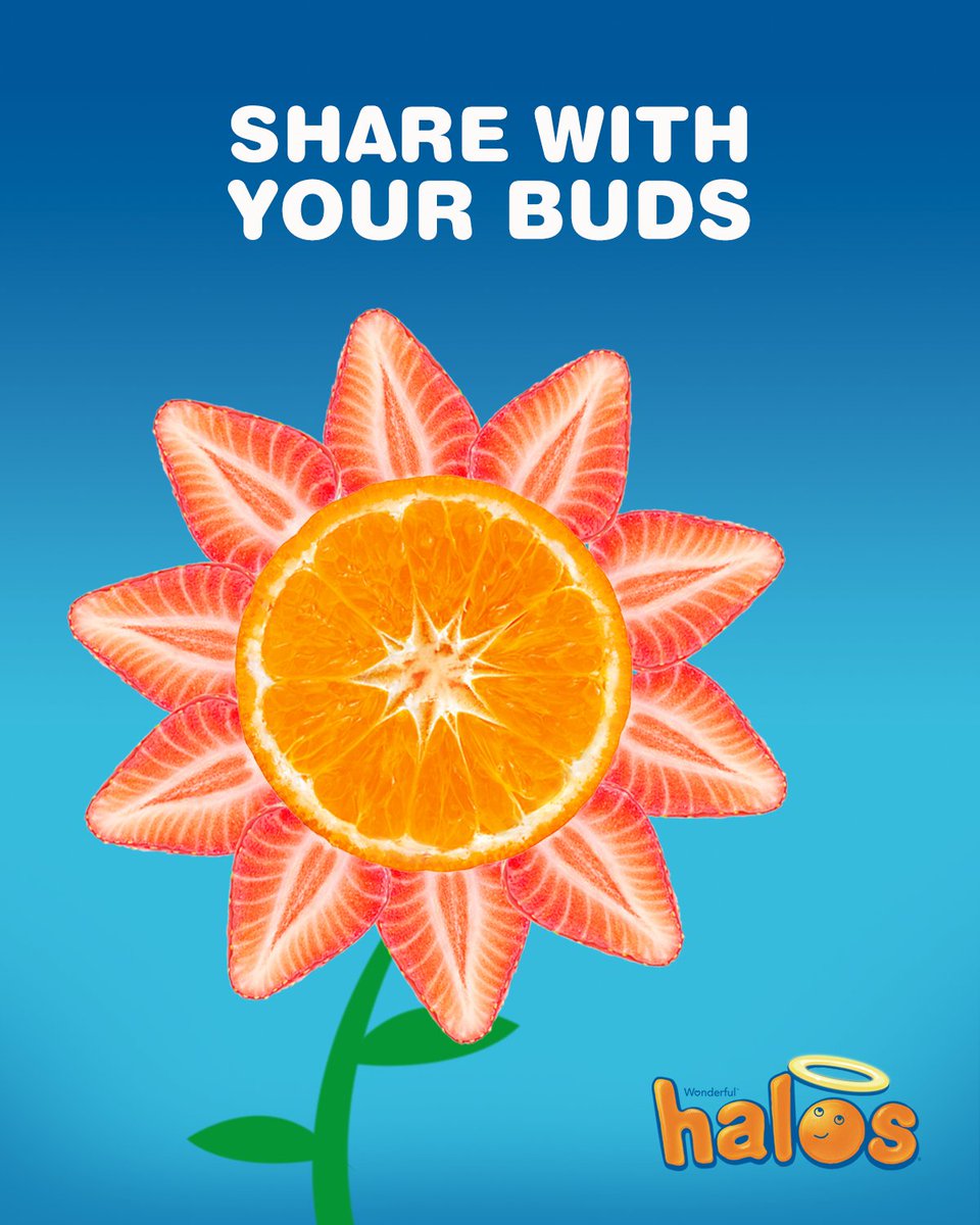 HalosFun's tweet photo. Spring is finally here, so pack some sweet, seedless, easy-to-peel Halos and get outside. #GoodChoiceKid https://t.co/FhaRIpwYNC