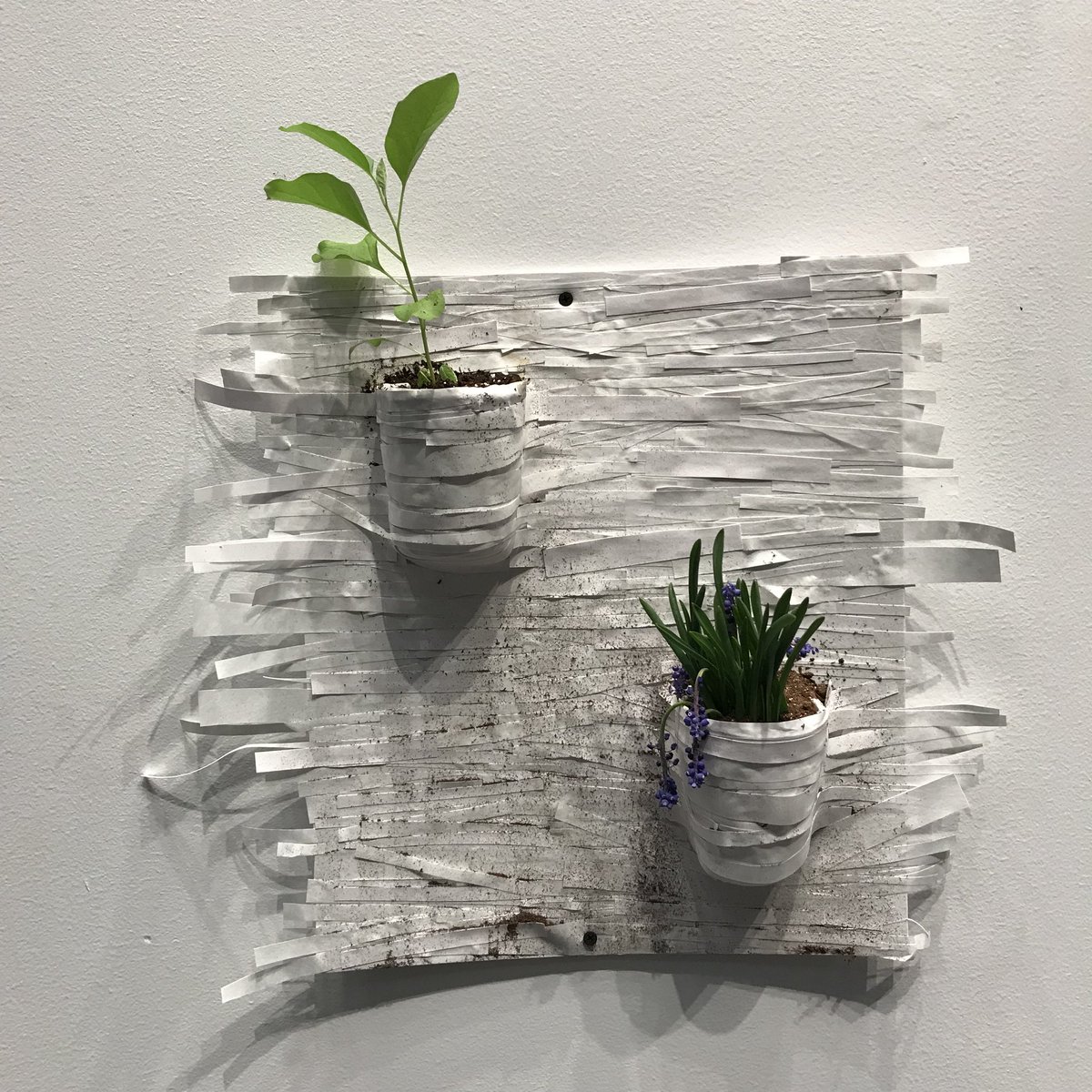 185nassau's tweet photo. GROUND a senior thesis exhibition by gwyndolyn goldfeder in the hurley gallery in the new lewis arts complex open now https://t.co/lFkqXTpX5o