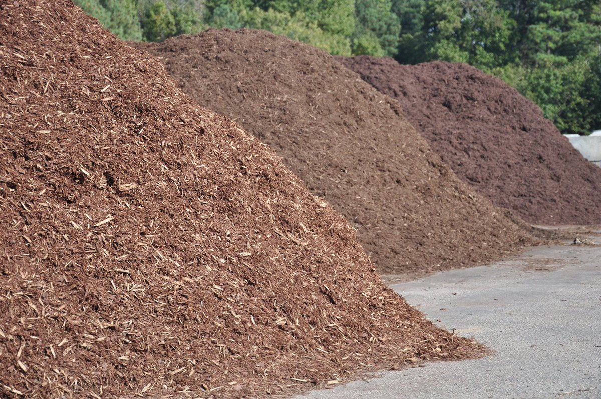 #DYK that keeping mulch 15 inches from your foundation reduces your chance of getting termites?