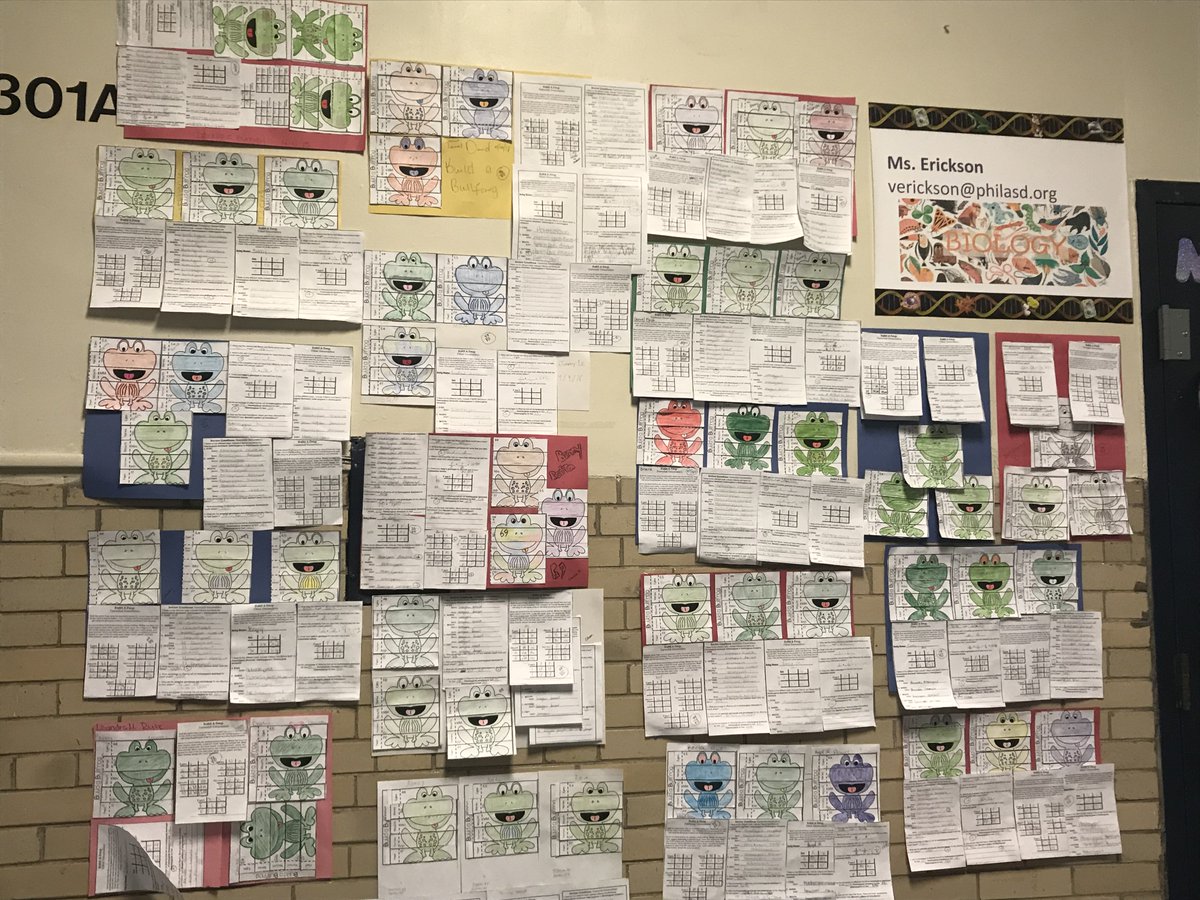 Great projects from Ms. Erickson’s Biology class - students learning about genetics as they determine what characteristics a baby frog will exhibit based on those of the froggy mom and dad #kensingtonhighschool #khs #kensingtontigers #kensingtondoesscience