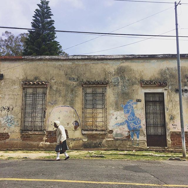 EverydayLATAM's tweet photo. Mi Barrio! Zone 2, Guatemala City. Photo: @_saul.martinez (Saul Martínez) #guatemala #everydayguatemala #everydayeverywhere #everydaylatinamerica #americalatina #travel #guatemalacity #streetphotography #streetart #streetstyle #shotoniphone #iphoneonly https://t.co/Lx0RnO0OaU