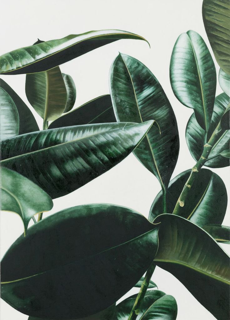 sweet dreams turn into coffee in the morning