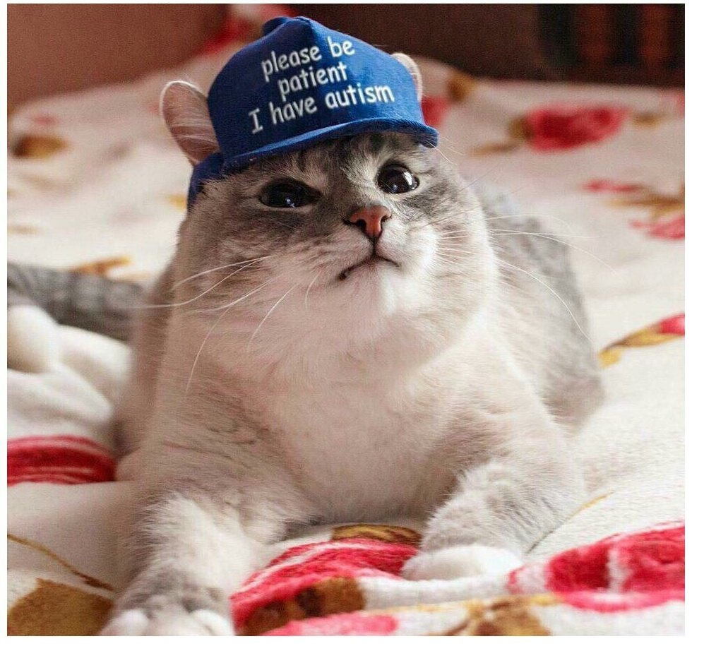 BobylevaA's tweet image. 