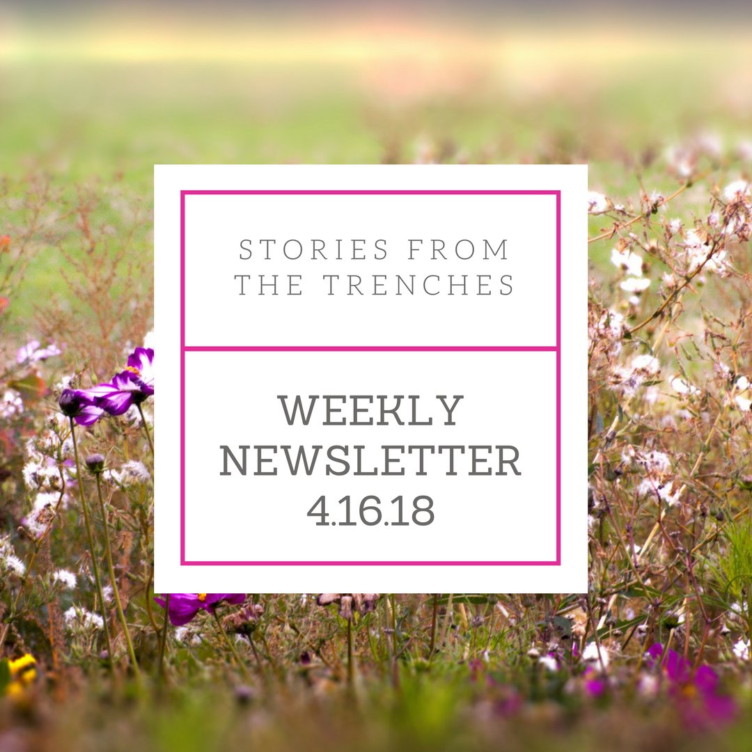 StoriesTrenches's tweet photo. Weekly newsletter is up! Catch up on the latest stories and hear what is coming up this week. https://t.co/810CG2yl5T #monday #mondaymorning #newsletter #stories #storiestrenches https://t.co/IckexZ1PN8