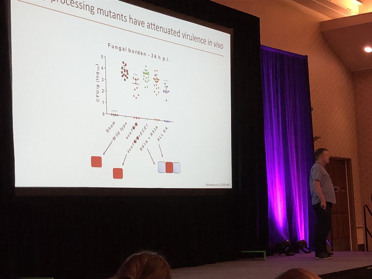 neil_gow's tweet image. ASM Candida meeting at Providence RI. Jonathan Richardson shows that candidalysin forms oligomers in presence of lipids.  @HubWTSA @MRCcmm #ASMCandida @ASMicrobiology