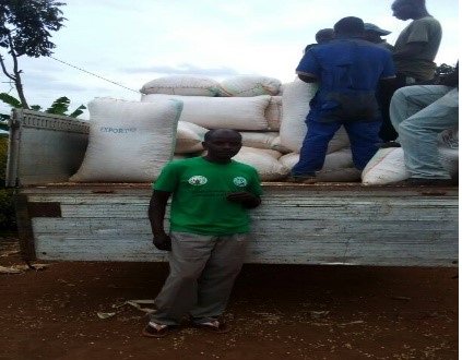 Duhamic1's tweet photo. Farmers from groups organized by @Duhamic1 in partnership w/@careinrwanda in @RwamaganaDistr through the project of Promoting Financial Inclusion for Small Holder Farmers #PROFIFA have increased the maize yields due to the application of the improved agricultural practices https://t.co/ErV6a2LmJR