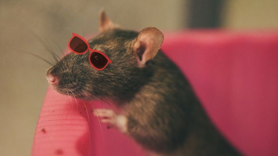 'Tis the season to be.... 

Sure you have a reliable Pest Control contract in place ready for summer. 

Tra, la lah, la lah, la lah, la lah. 

Okay, not the catchiest jingle, or even the right time of year, but for Pest Control, now is the time to act. 

Call us on 01633 411977.
