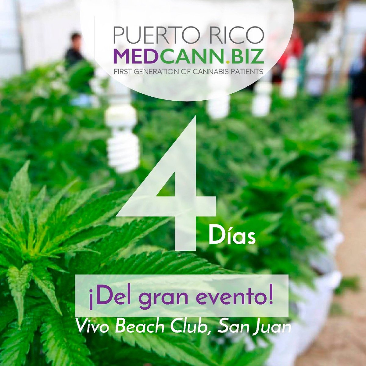 PRmedcann's tweet photo. 🍀👨¡Estamos listos para el gran evento! ¿Tú ya separaste tu cupo? Si aún no lo has hecho, puedes hacerlo en nuestro sitio web https://t.co/o1yeBhDhvX. 🔝ESTÁS A TIEMPO 📲💻 https://t.co/ywa3kR3hqG