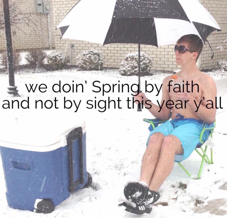photogrl68's tweet image. #notmyspring