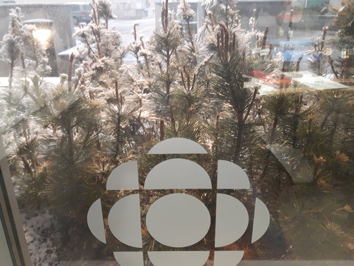 Graydio1's tweet photo. Today's best  @cbceyopener weather quotes:

"The weekend was a lie. Snow is the only truth." - @edmontonjournal 

 "I can't feel my buds." - @SidTheShrub https://t.co/x06UFXt3Kd