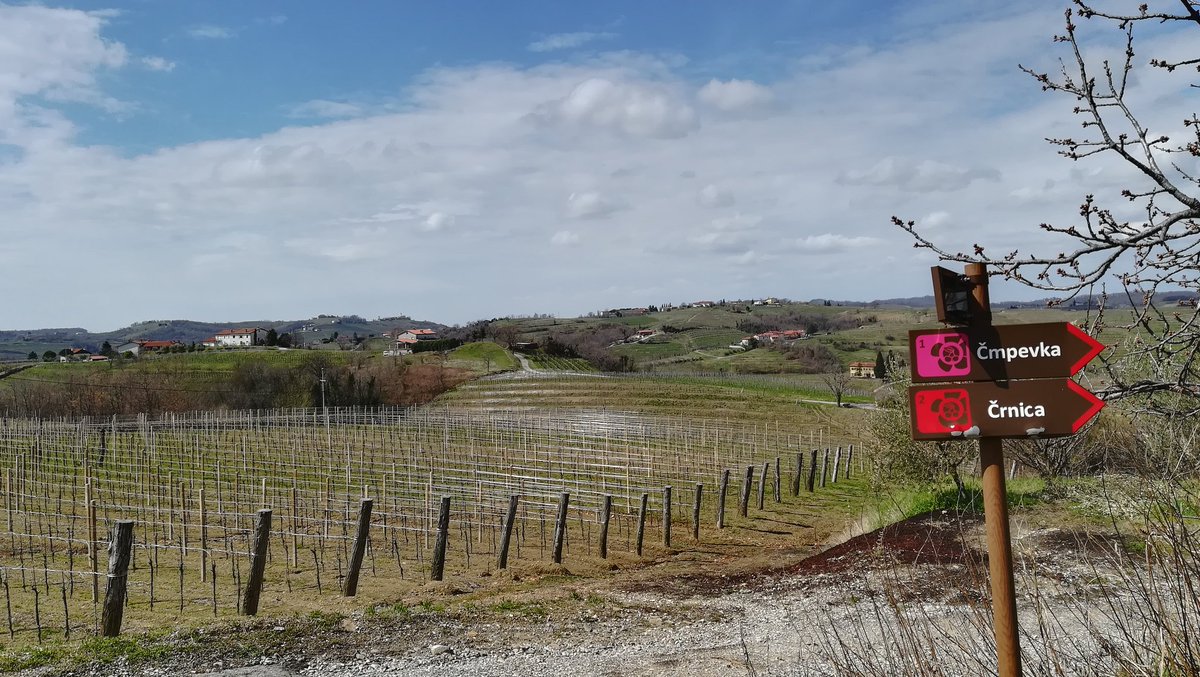 fosckia's tweet photo. #Collio #Brda https://t.co/CA9PNdix7x