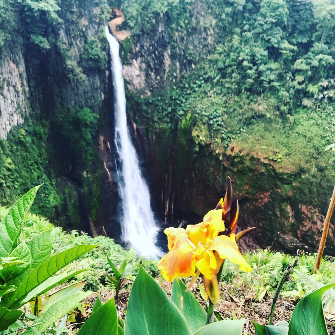 RobBreinich's tweet photo. #waterfall #costarica #workdtravel https://t.co/No0T77KcBM