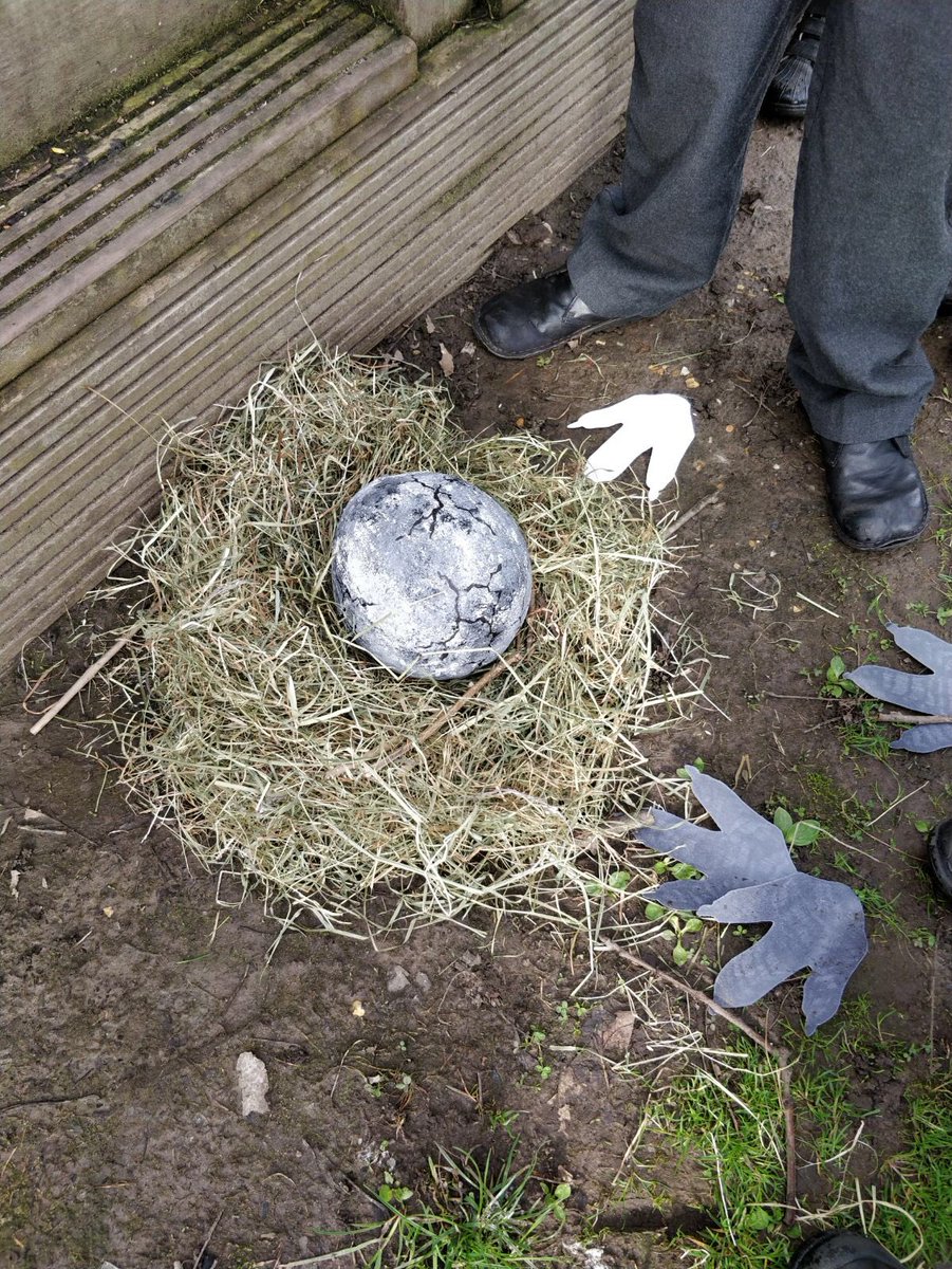 antrobus_st's tweet photo. Today we went on a hunt and found a mysterious egg in the wild area! #dragonmachine @TheLCUK #dragonegg #literacy #year1&amp;2 https://t.co/tz9GqCB5Xu