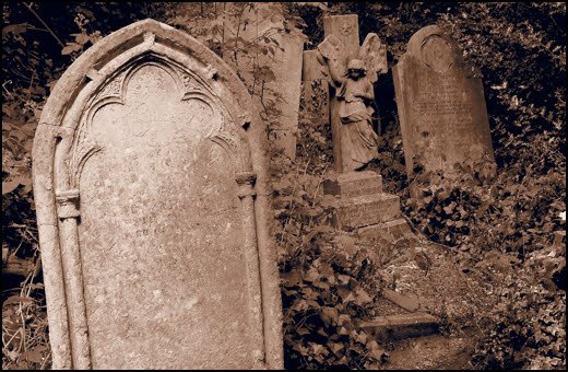 Romany Reagan tweet media